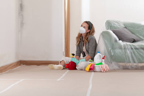 Reliable Mold Cleanup contractor in Winburne, PA by Cheap Mold Removal
